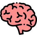 Enhances Brain Health and Mental Clarity